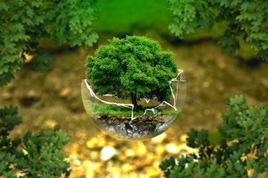 An image of a tree inside a fractured glass sphere.
