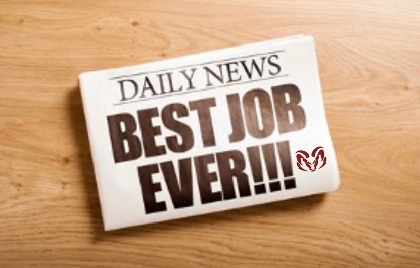 A photo of a “Daily News” newspaper laying on a wooden desk with the headline saying, “BEST JOB EVER!!!” and a red Aries’ ram logo behind the exclamation points.