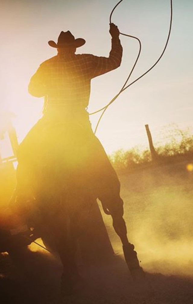 VisionAries Dee Stephens silhouette in cowboy hat and attire on a horse with a rope looped in the air, sunset behind him